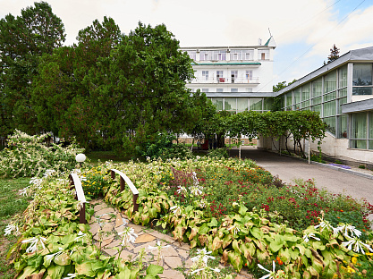 Санаторий «Центр-Союз» г. Ессентуки. Территория